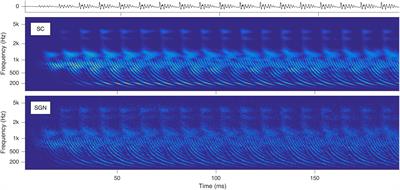 Periodicity Pitch Perception